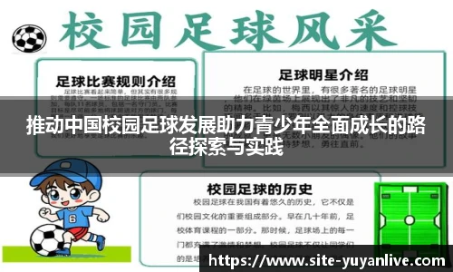 雨燕体育