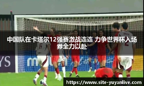 雨燕直播