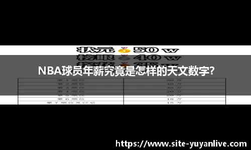 雨燕直播