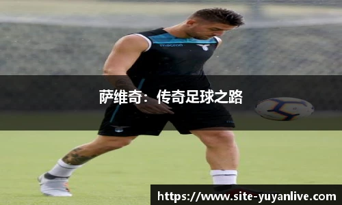 雨燕体育