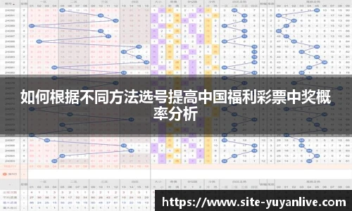雨燕高清直播