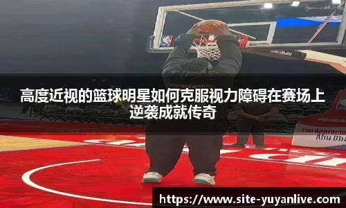 雨燕高清直播