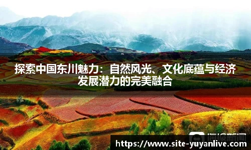 雨燕直播