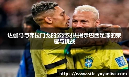 雨燕高清直播