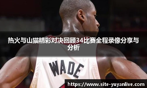 热火与山猫精彩对决回顾34比赛全程录像分享与分析