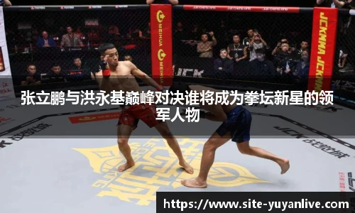 张立鹏与洪永基巅峰对决谁将成为拳坛新星的领军人物