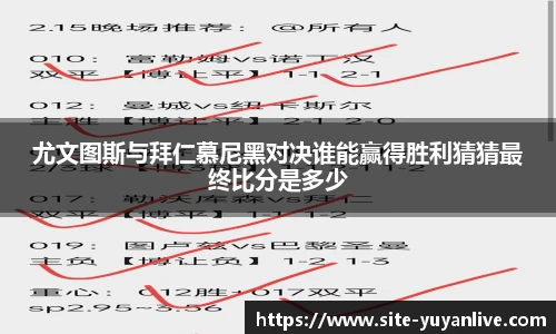 雨燕体育直播