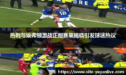 热刺与埃弗顿激战正酣赛果揭晓引发球迷热议