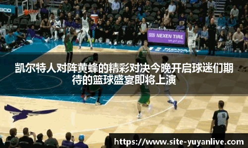 凯尔特人对阵黄蜂的精彩对决今晚开启球迷们期待的篮球盛宴即将上演