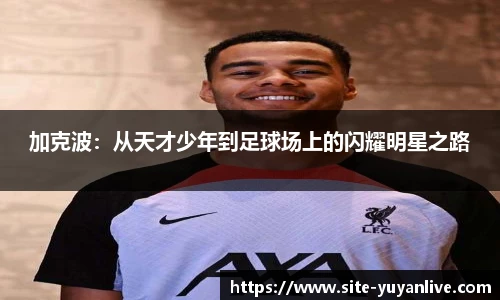加克波：从天才少年到足球场上的闪耀明星之路