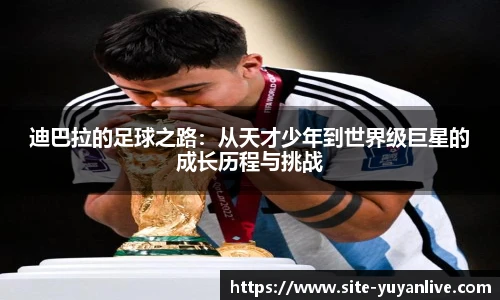 雨燕高清直播