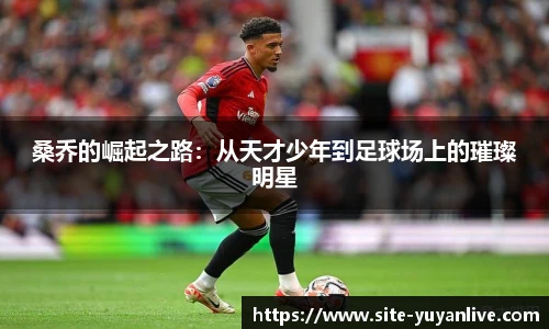 桑乔的崛起之路：从天才少年到足球场上的璀璨明星