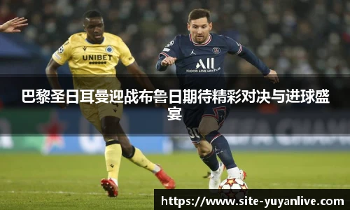 雨燕高清直播