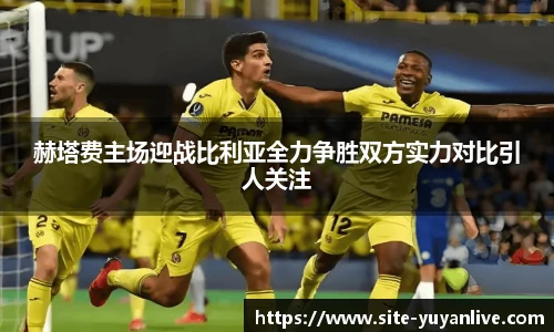 雨燕体育